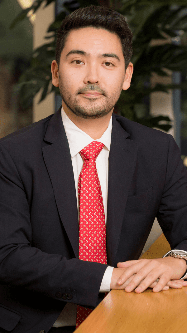 James Snape, Audit Director